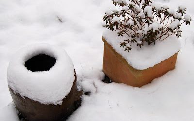 Snow Sculpture