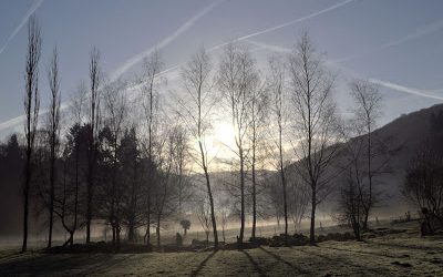 misty morning